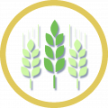 Sector-Agri.png